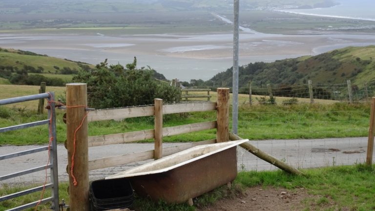 A bathtub with an exceptional view
